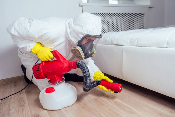 Real Estate Pest Inspections in Guymon, OK